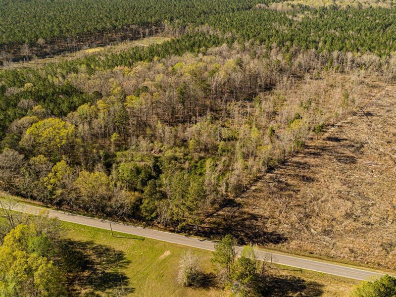 8.6 Acres Clarke County Homesite : Goodwater : Clarke County : Mississippi