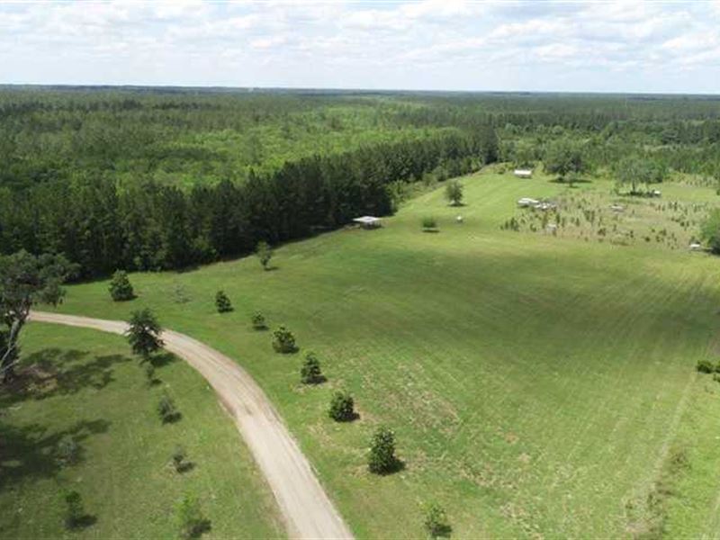 Farm with Pasture and Creek Bottom : Folkston : Charlton County : Georgia