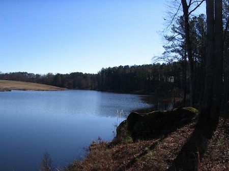 208 Acres with A 7 Acre Lake : Greensboro : Greene County : Georgia