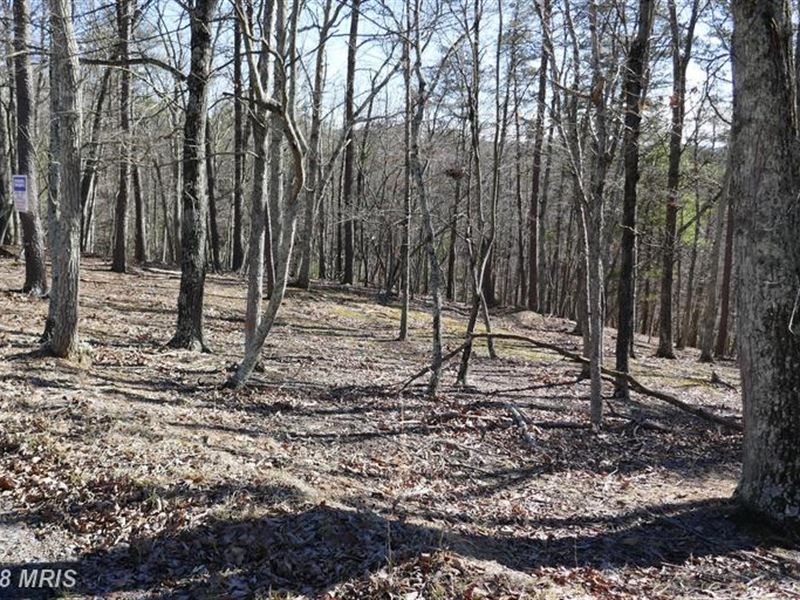 Nice Building Lot : Bloomery : Hampshire County : West Virginia