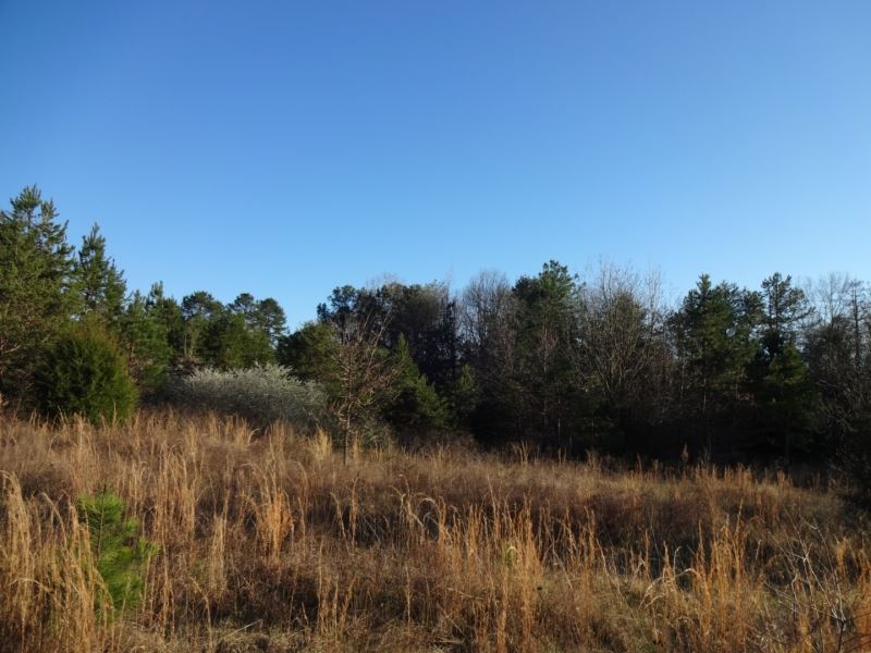 12.58 Acres Combination Wooded : Belton : Greenville County : South Carolina
