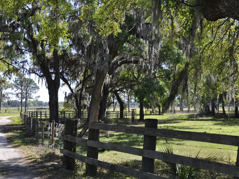 Knights Farm &amp; Ranch In Plant City Land for Sale in