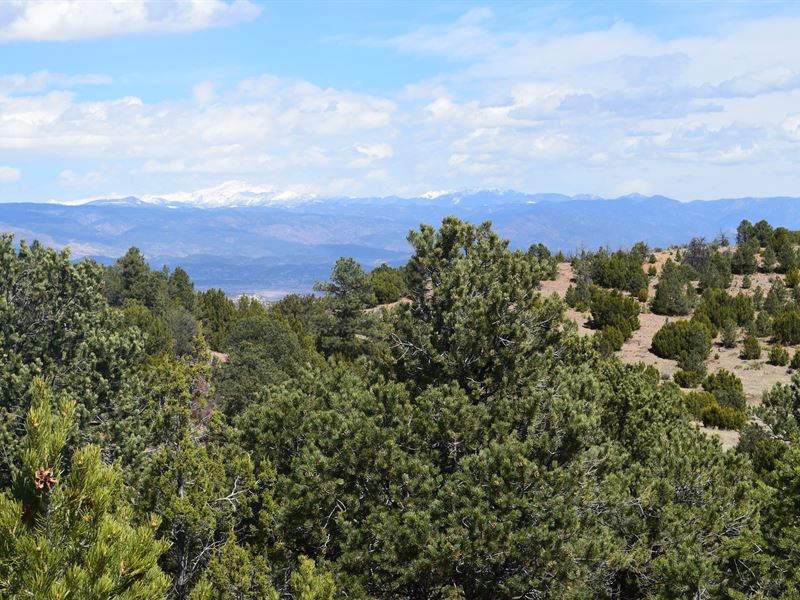 CO Land Adjoins Nat Forest : Florence : Fremont County : Colorado