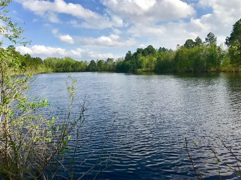 5 Acre Pond, Mature Pine Timber, Land for Sale in 146950