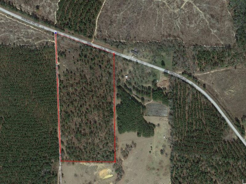 20.5 Acres Jack Hightower Road : Clayton : Barbour County : Alabama