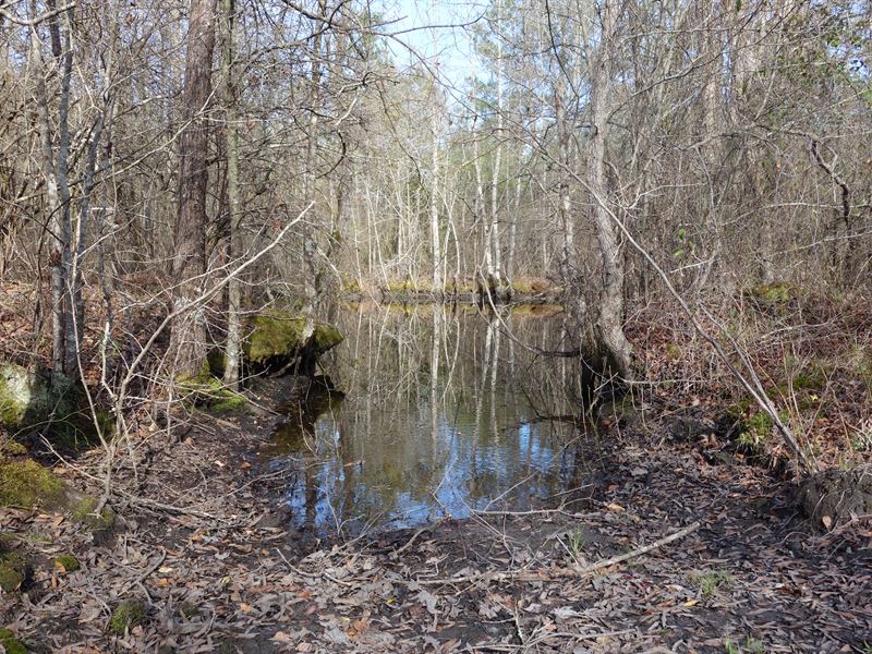  Acres - Lee County, Sc, Land for Sale in South Carolina, #147019 :  LANDFLIP