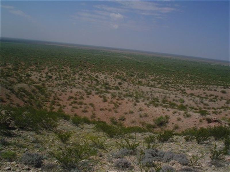 Texas, Reeves County : Pecos : Reeves County : Texas