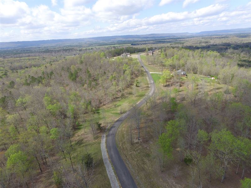 Gorgeous Views Near Springville, Al : Springville : Jefferson County : Alabama