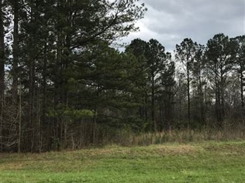 3.83 Acres In Morgan County : Rutledge : Morgan County : Georgia