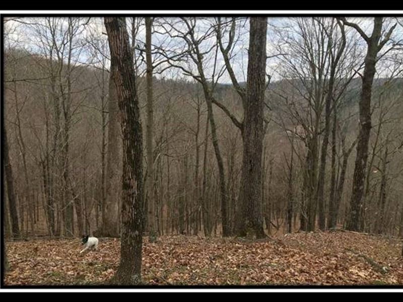 Paradise Ridge On Wayne : Perry : Gallia County : Ohio