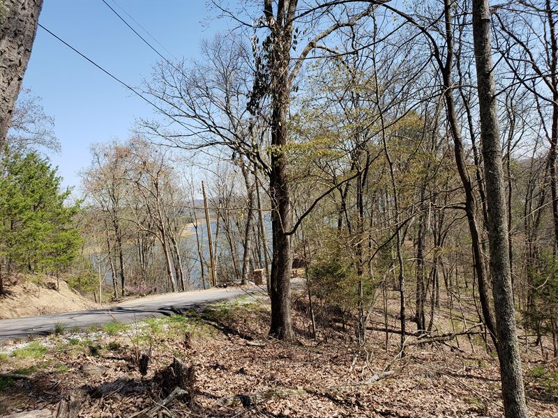 Dockable Cherokee Lake Front Lot : Mooresburg : Hawkins County : Tennessee