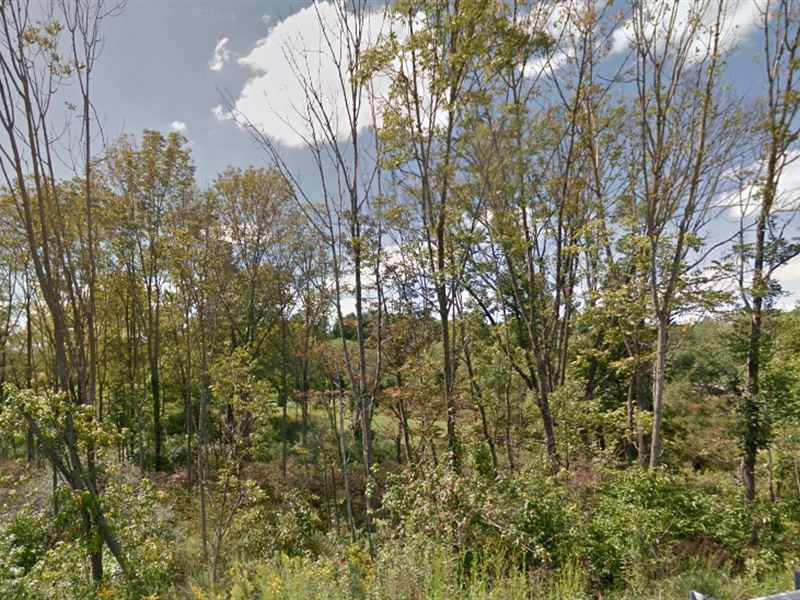 Schuylkill County, Pa 15,000 Neg Land for Sale in Auburn, Schuylkill