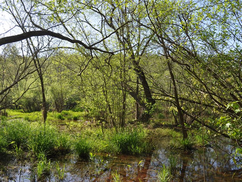 Hawks Creek : Colbert : Oglethorpe County : Georgia