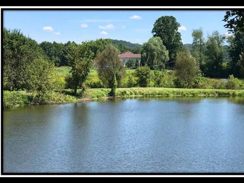 Large Pond with Wooded Acreage, Land for Sale in Ohio, 147421 LANDFLIP