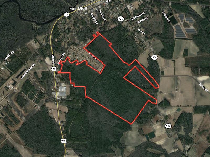 355 Acres Timber and Hunting Land : Fair Bluff : Columbus County : North Carolina