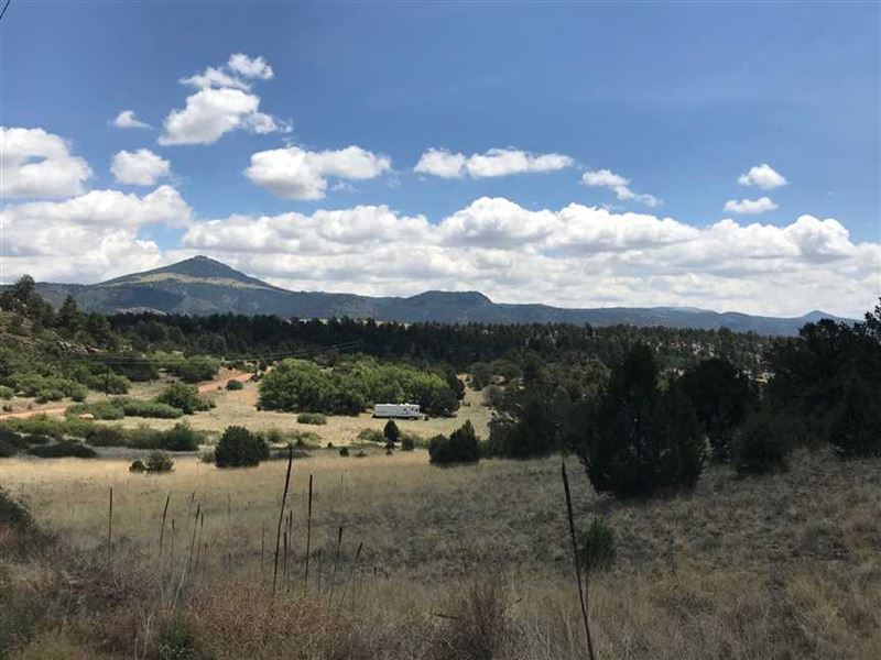 Navajo Mountain Mesa : Florissant : Teller County : Colorado