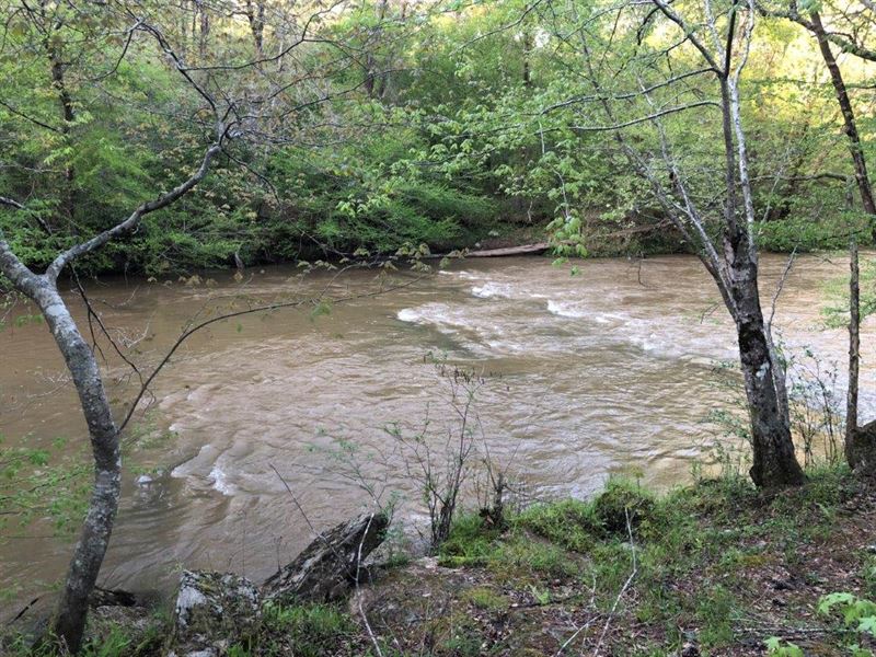 Riverwalk Shoals : Bishop : Morgan County : Georgia
