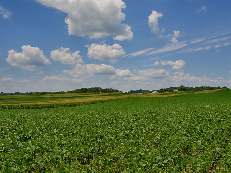 363 Acre Crop Farm : Somerset : Madison County : Virginia
