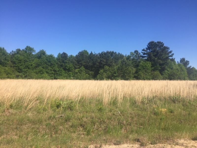 Hwy 48 W, 20 Acres : Tylertown : Walthall County : Mississippi