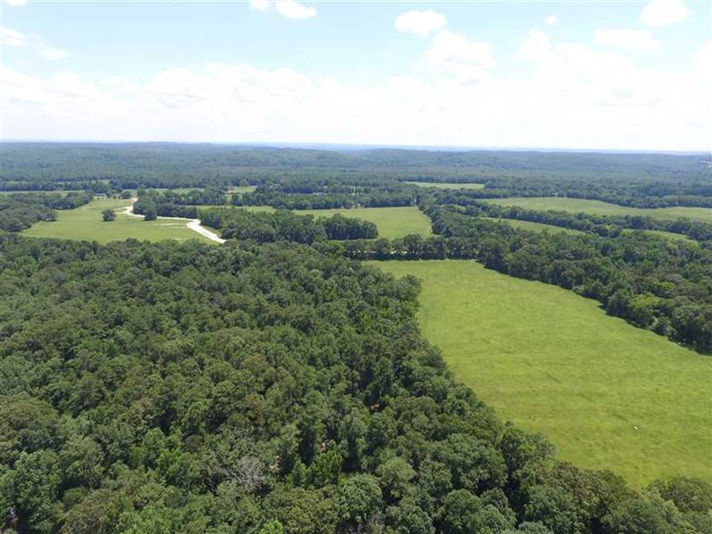 153 Acres Just Minutes From Downto : Prattville : Autauga County : Alabama