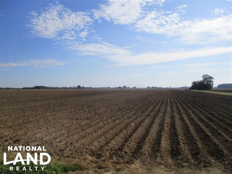 Prime Cotton and Soybean Farm II : Dundee : Tunica County : Mississippi