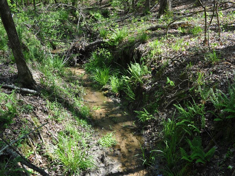 Goose Creek : Carlton : Oglethorpe County : Georgia