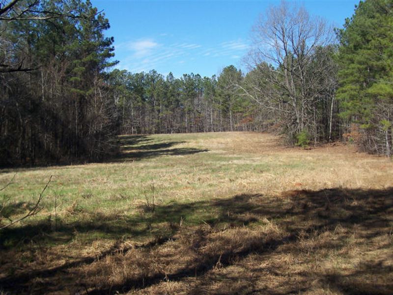 Wilkes County Hunting/Timber Tract : Tignall : Wilkes County : Georgia