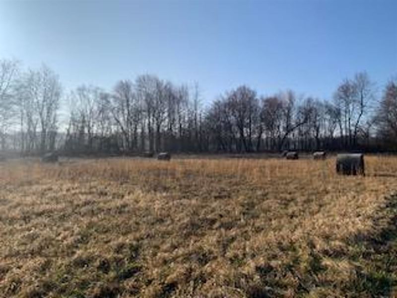 Land for Sale in Greene County : Worthington : Greene County : Indiana