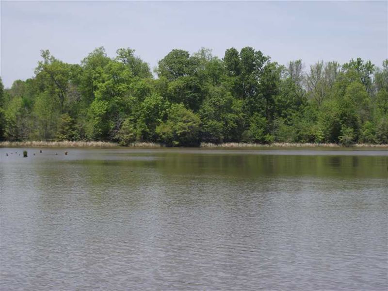 Waterfront Lot, 55, in Black Warr : Akron : Hale County : Alabama