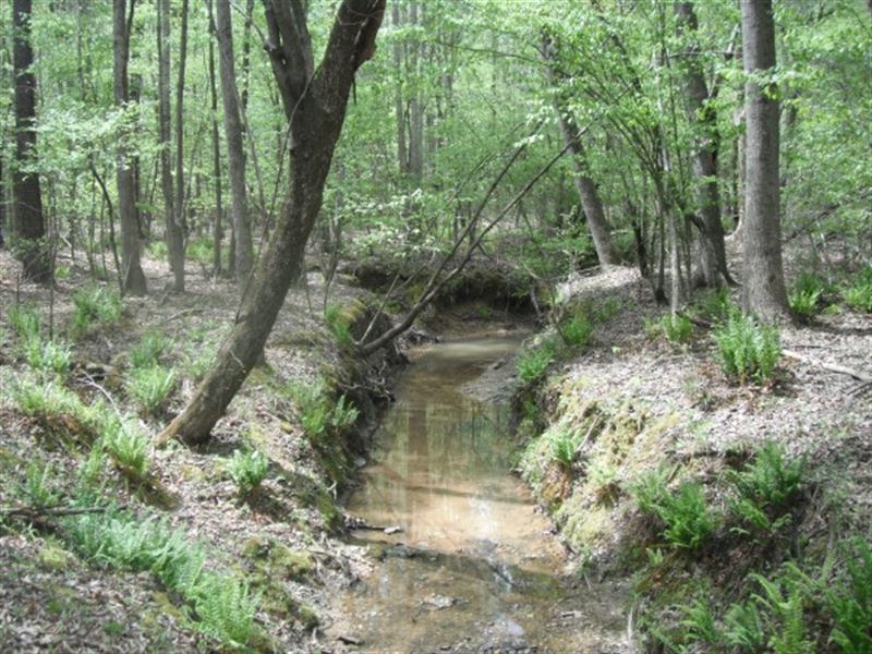 20 Acres, Lancaster County, SC : Land for Sale in Lancaster, Lancaster County, South Carolina