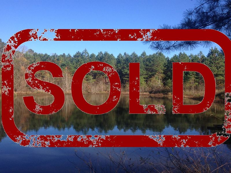 49 Acres Bordering National Forest : Ozone : Johnson County : Arkansas