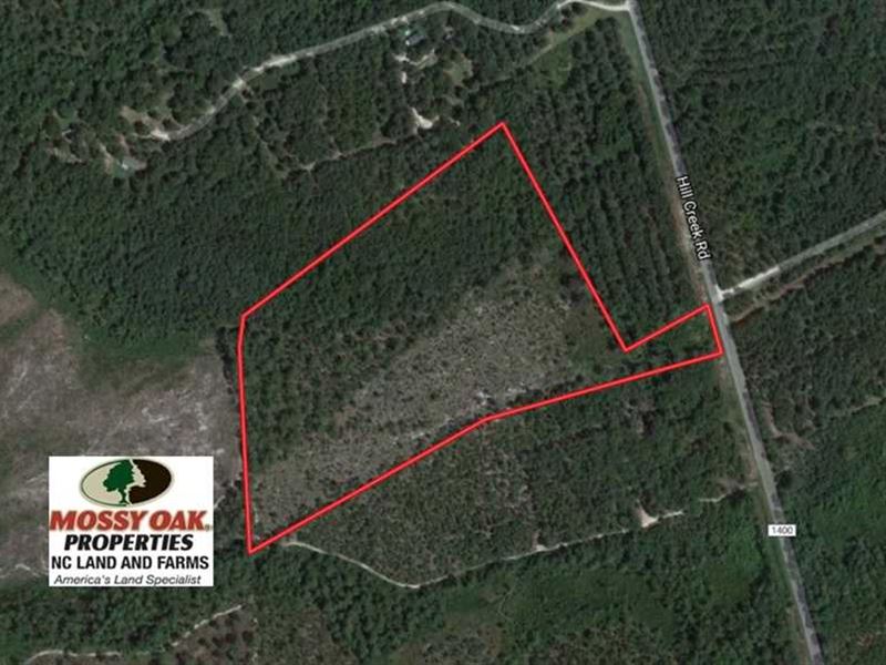 19.6 Acres of Hunting And Timber Land for Sale in Wagram, Scotland