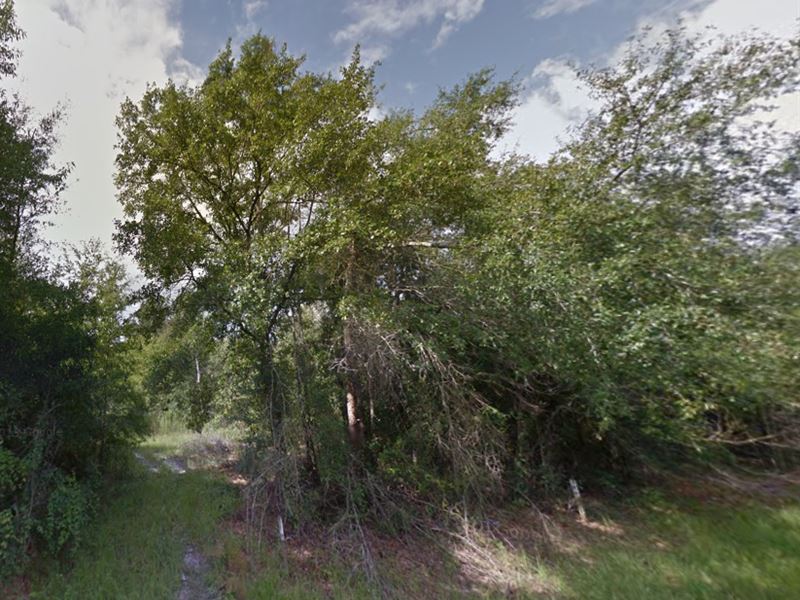 Suwannee County, Fl 55,000 Reduced Land for Sale in Live Oak