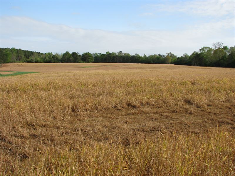Very Nice Farm : Monroeville : Monroe County : Alabama