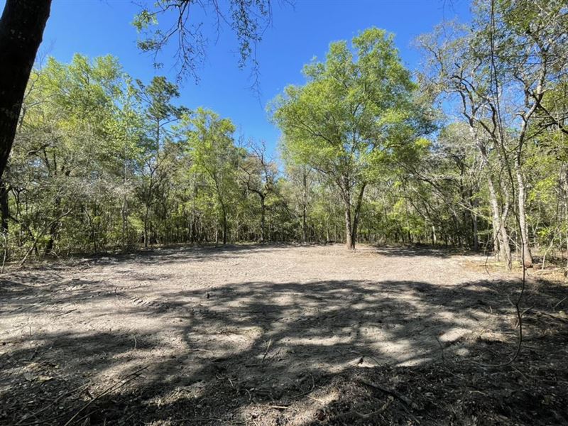 The Trails : Live Oak : Suwannee County : Florida