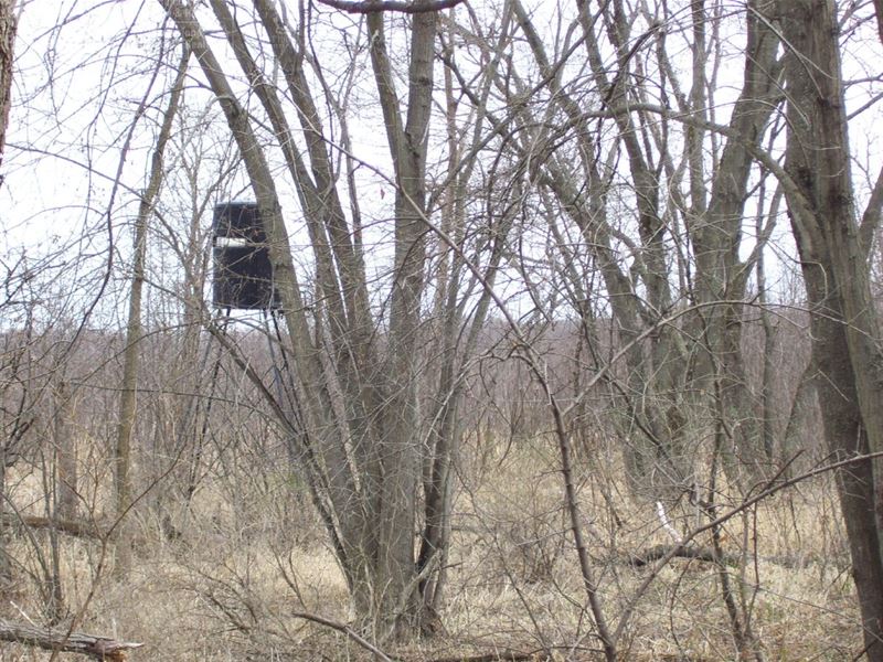 Wisconsin Hunting Land for Sale : Montello : Marquette County : Wisconsin