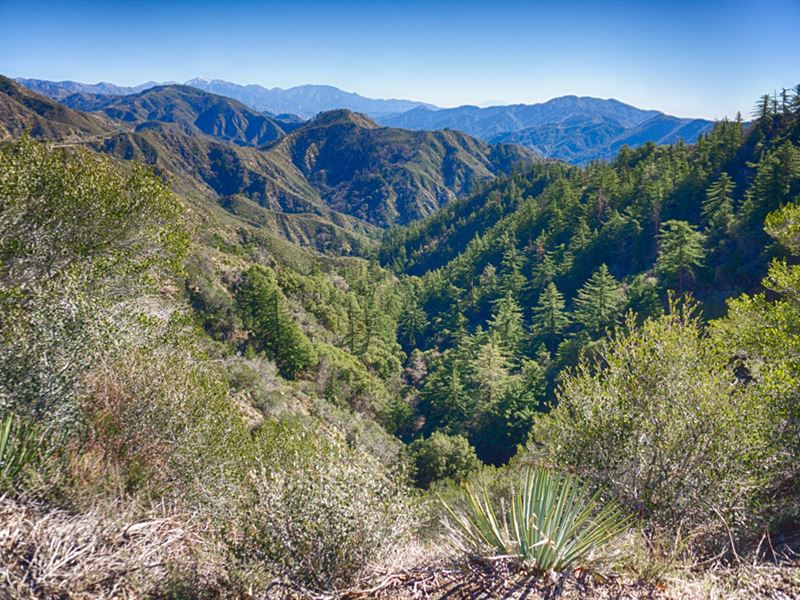 California Pines Lot in Modoc, CA : Alturas : Modoc County : California