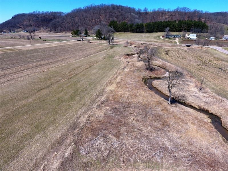 Land with Trout Stream : La Farge : Vernon County : Wisconsin