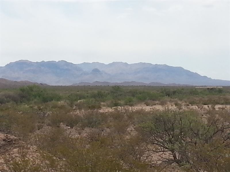 60 Ac, Foreclosure Only $288/Mo : Sierra Blanca : Hudspeth County : Texas