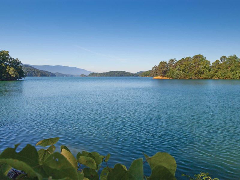 Lake View with Boat Slip : Jacksboro : Campbell County : Tennessee