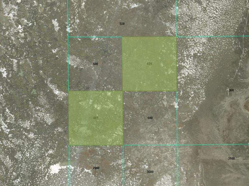 80 Acres in Malheur County, OR : Jordan Valley : Malheur County : Oregon