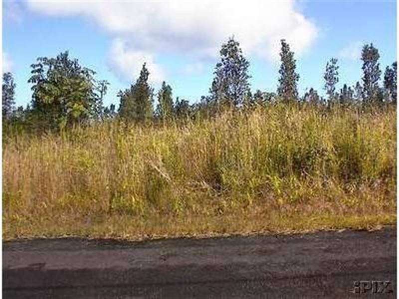 8040 Sq, Ft, Nanawale Estates, HI : Pahoa : Hawaii County : Hawaii