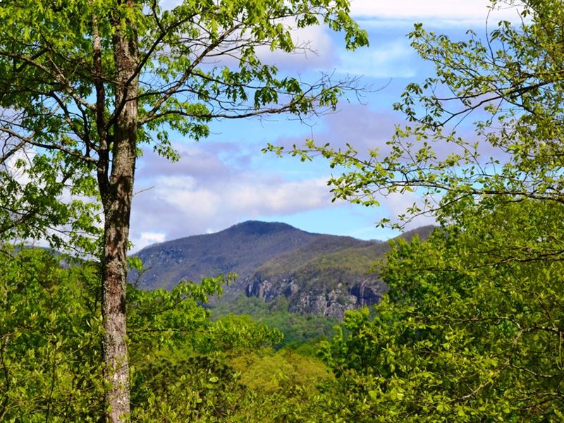 Lake Lure Lot 17 : Lake Lure : Rutherford County : North Carolina