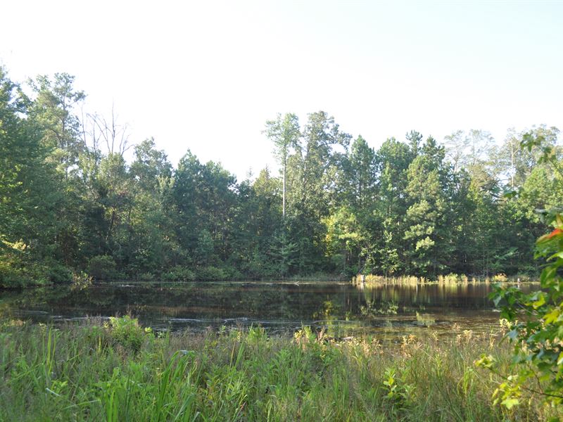Bramlett Tract : Greensboro : Greene County : Georgia