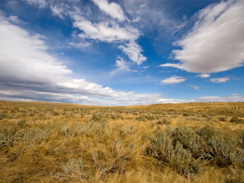 40 Acres Of Land For Sale In Wyoming
