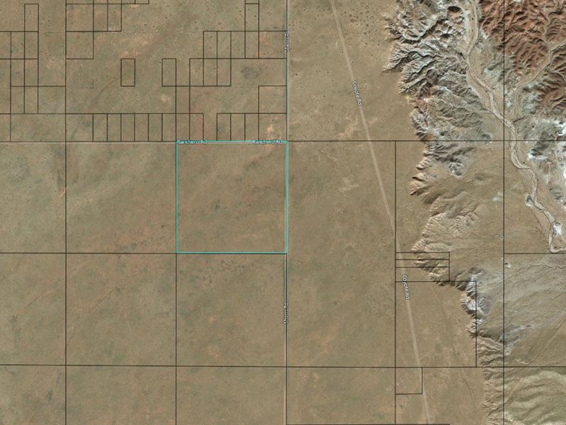 40 Ac, Near Rt 66, Navajo County : Holbrook : Navajo County : Arizona