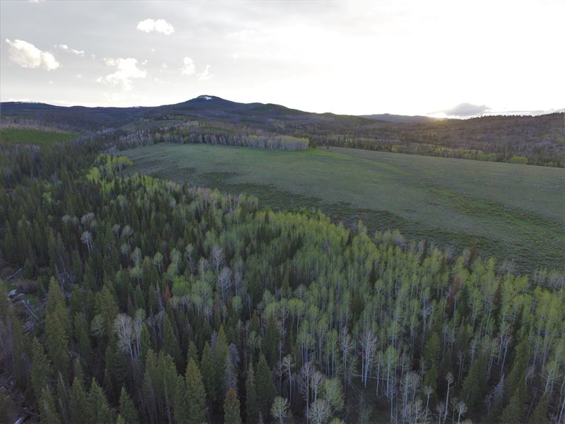 Encampment Ranch Land for Sale in Encampment, Carbon County, Wyoming