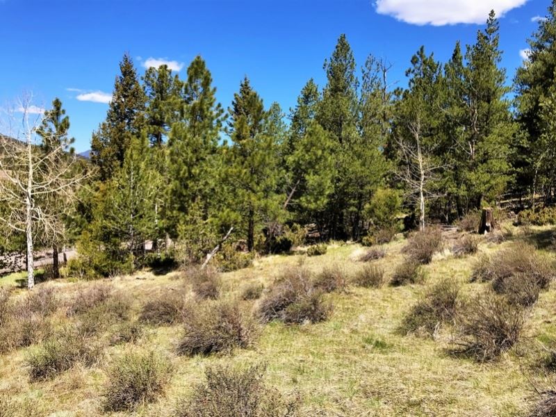 Beaver Mountain Estates, Lot 5 : South Fork : Rio Grande County : Colorado