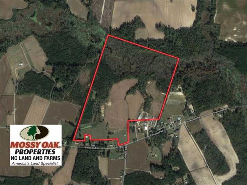 Under Contract, 113 Acres of Farm : Fairmont : Robeson County : North Carolina