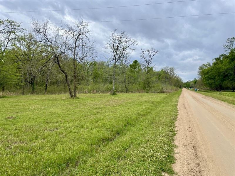 23 Acres of Prime Hunting Land : Sicily Island : Catahoula Parish : Louisiana